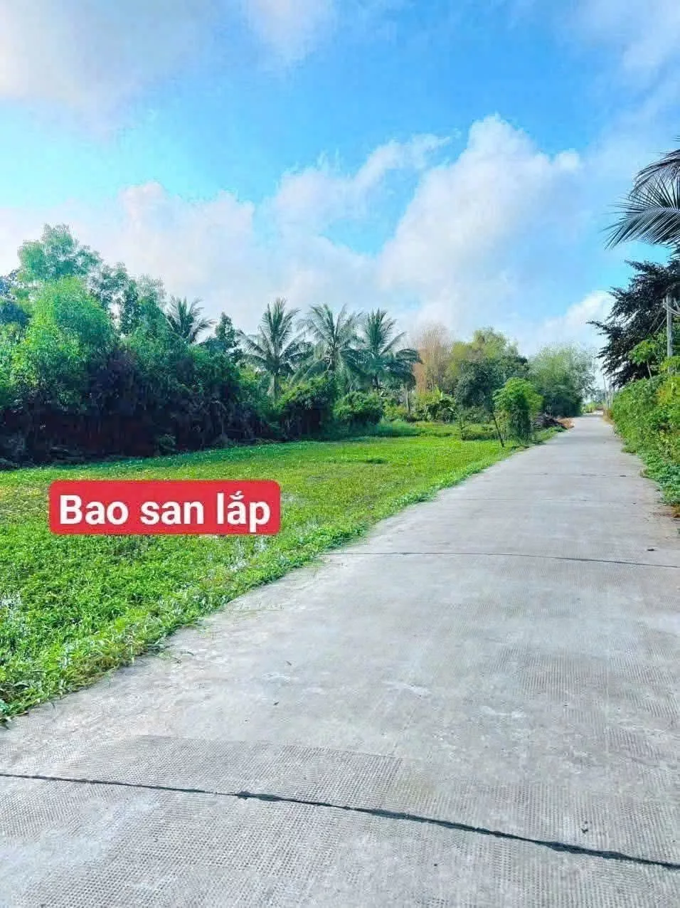 499trr/lô thương lượng - Ảnh 1