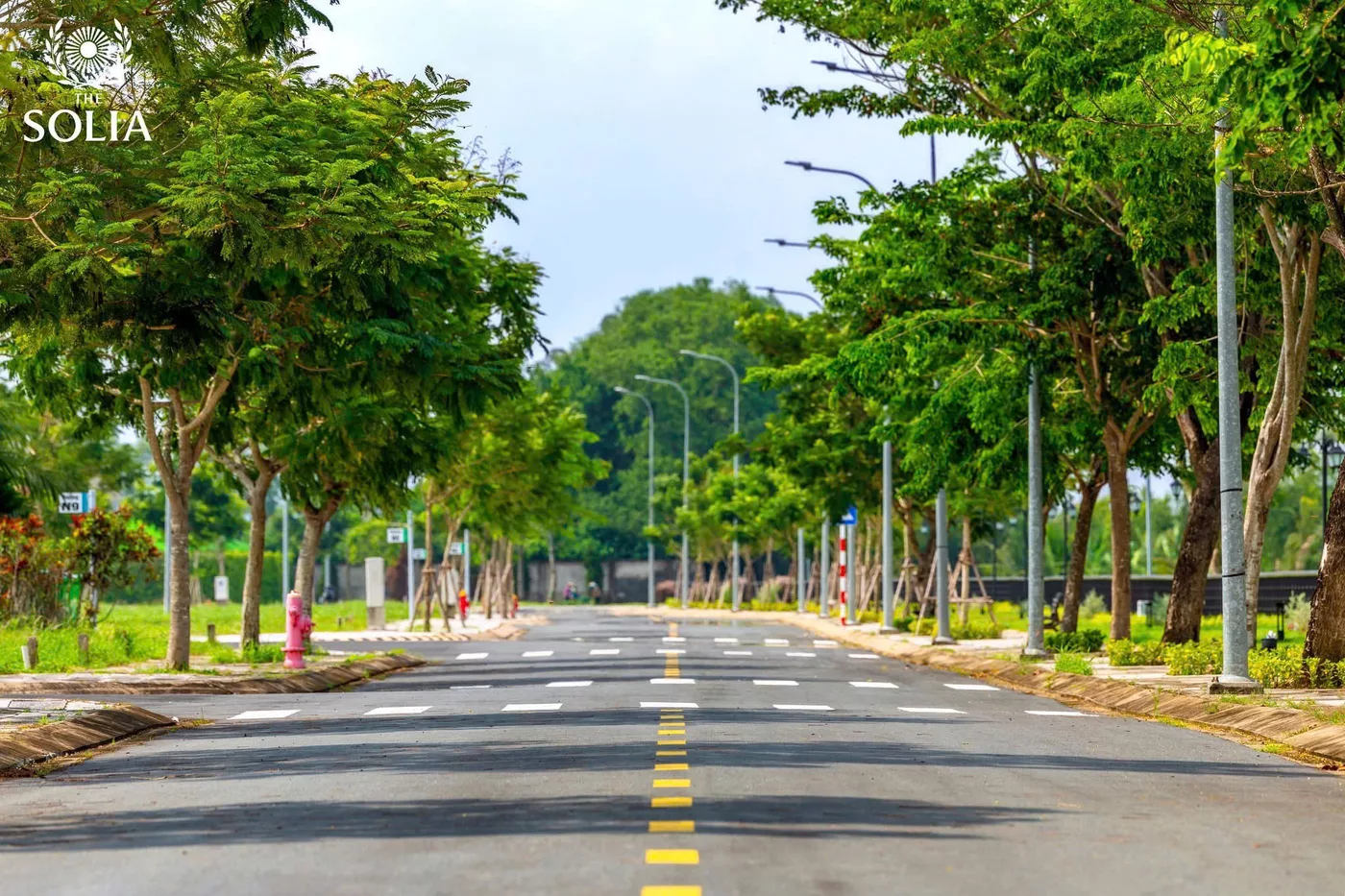 THE SOLIA - Ảnh 3
