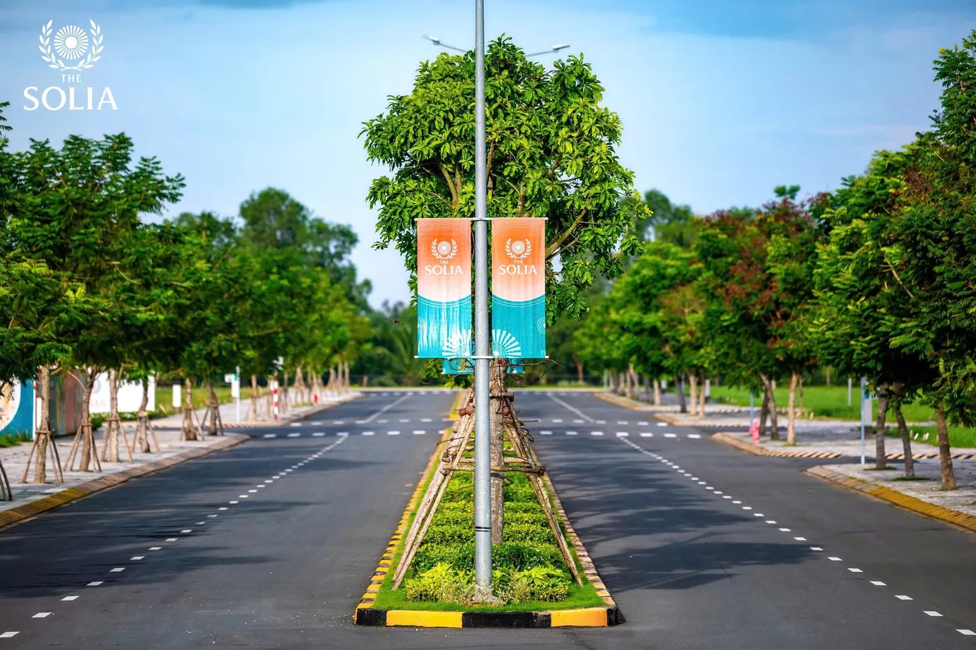 THE SOLIA - Ảnh 4